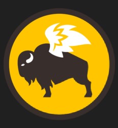 Buffalo Wild Wings Go