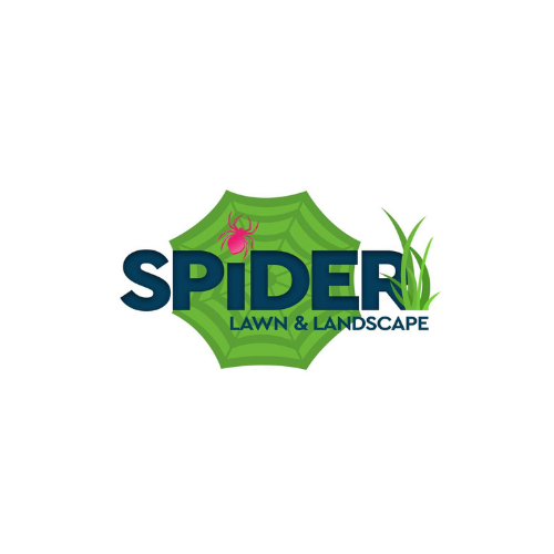Spider Lawn and Landscape